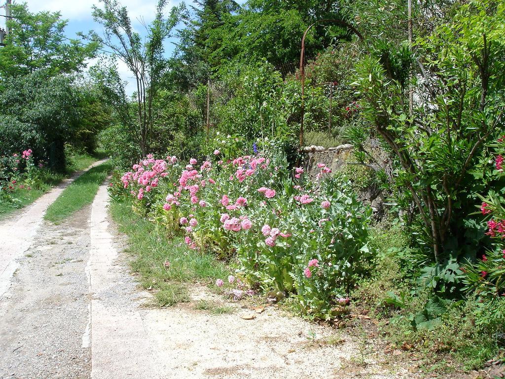 La Colline Bleue Bed & Breakfast Banne Luaran gambar